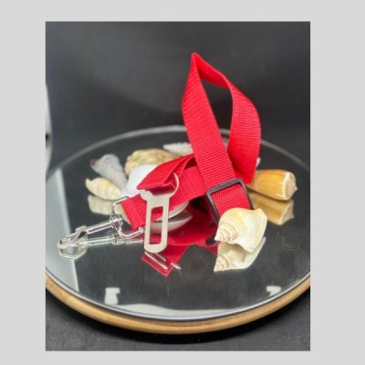 Autogordel huisdier rood