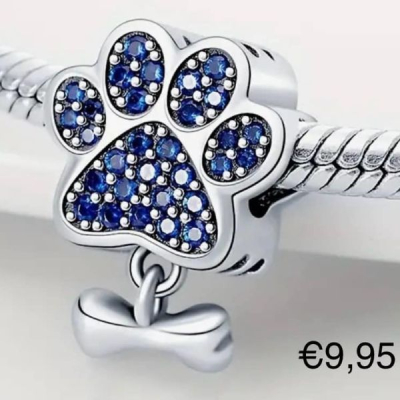 Pootje met blauwe kristallen en hondenbotje