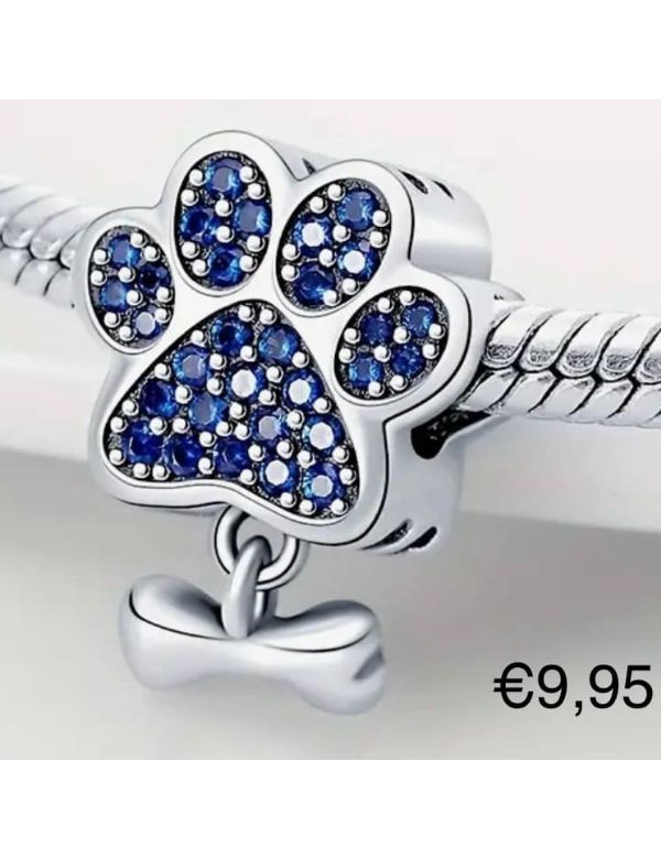 Pootje met blauwe kristallen en hondenbotje