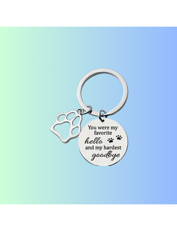 You were my favorite hello