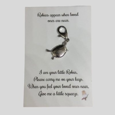 pockethug Roodborstje