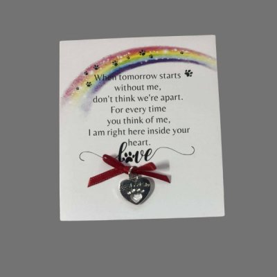 Sterkte overlijden huisdier