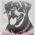 Rottweiler sticker